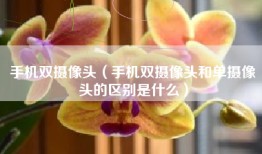 手机双摄像头（手机双摄像头和单摄像头的区别是什么）