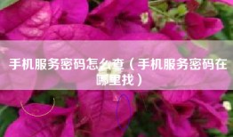 手机服务密码怎么查（手机服务密码在哪里找）