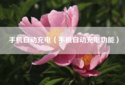 手机自动充电（手机自动充电功能）
