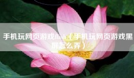 手机玩网页游戏flash（手机玩网页游戏黑屏怎么弄）