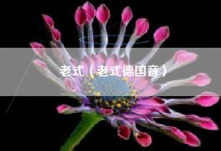 老式（老式德国音）