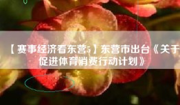 【赛事经济看东营5】东营市出台《关于促进体育消费行动计划》