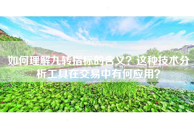 如何理解九转指标的含义？这种技术分析工具在交易中有何应用？