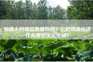 加德士的油品质量如何？它的燃油经济性有哪些优化空间？