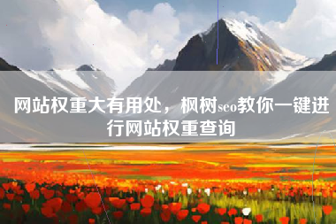 网站权重大有用处，枫树seo教你一键进行网站权重查询