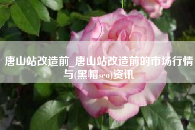 唐山站改造前_唐山站改造前的市场行情与(黑帽seo)资讯