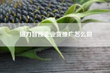 磁力智投企业贷推广怎么做