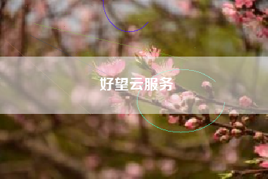 好望云服务 好望云服务
