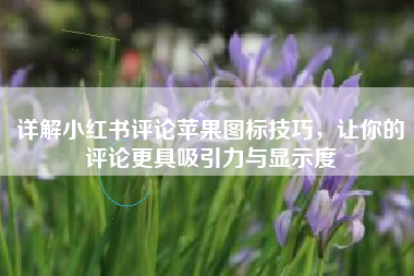 详解小红书评论苹果图标技巧，让你的评论更具吸引力与显示度