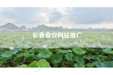长春泰安网站推广