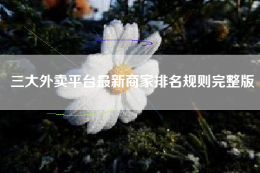 三大外卖平台最新商家排名规则完整版
