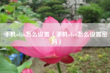 手机wlan怎么设置（手机wlan怎么设置密码）