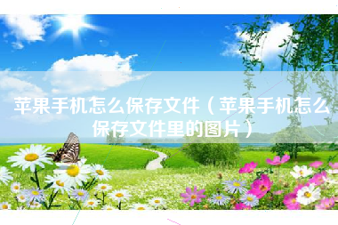 苹果手机怎么保存文件（苹果手机怎么保存文件里的图片）