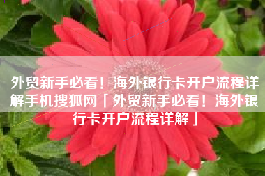 外贸新手必看！海外银行卡开户流程详解手机搜狐网「外贸新手必看！海外银行卡开户流程详解」