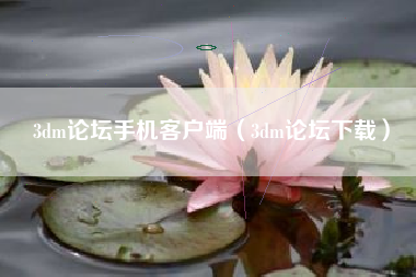 3dm论坛手机客户端（3dm论坛下载）