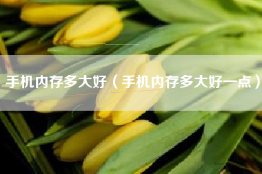 手机内存多大好（手机内存多大好一点）