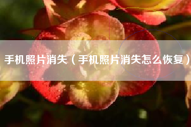 手机照片消失（手机照片消失怎么恢复）