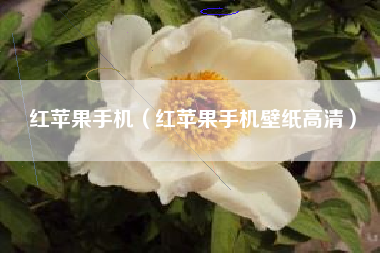 红苹果手机（红苹果手机壁纸高清）