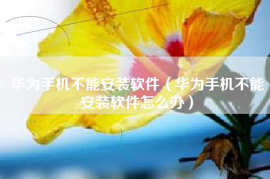 华为手机不能安装软件（华为手机不能安装软件怎么办）