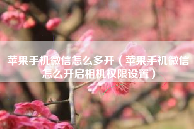 苹果手机微信怎么多开（苹果手机微信怎么开启相机权限设置）