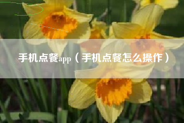 手机点餐app（手机点餐怎么操作）