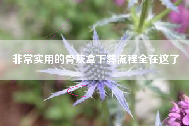 非常实用的骨灰盒下葬流程全在这了