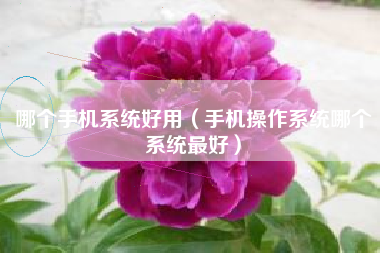 哪个手机系统好用（手机操作系统哪个系统最好）