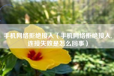 手机网络拒绝接入（手机网络拒绝接入,连接失败是怎么回事）