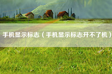 手机显示标志（手机显示标志开不了机）