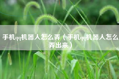 手机qq机器人怎么弄（手机qq机器人怎么弄出来）