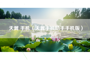 天翼 手机（天翼手机助手手机版）