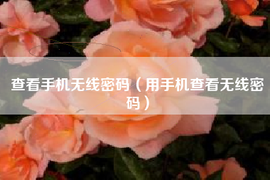 查看手机无线密码（用手机查看无线密码）