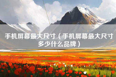 手机屏幕最大尺寸（手机屏幕最大尺寸多少什么品牌）