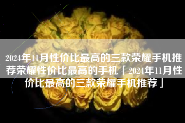 2024年11月性价比最高的三款荣耀手机推荐荣耀性价比最高的手机「2024年11月性价比最高的三款荣耀手机推荐」