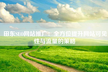 田东SEO网站推广：全方位提升网站可见性与流量的策略