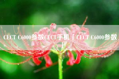 CECT C6000参数CECT手机「CECT C6000参数」