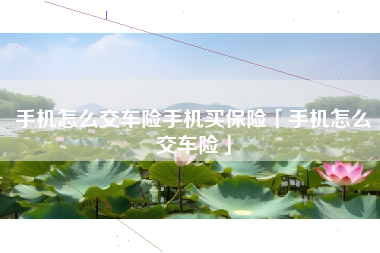 手机怎么交车险手机买保险「手机怎么交车险」