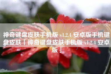 神奇键盘皮肤手机版 v1.2.4 安卓版手机键盘皮肤「神奇键盘皮肤手机版 v1.2.4 安卓版」