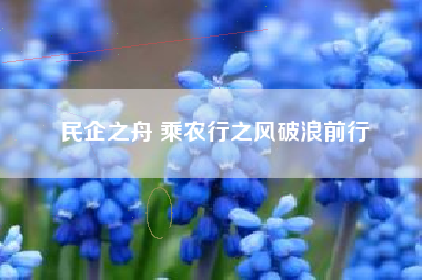 民企之舟 乘农行之风破浪前行