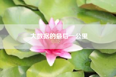 大数据的最后一公里
