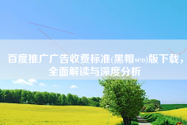 百度推广广告收费标准(黑帽seo)版下载，全面解读与深度分析