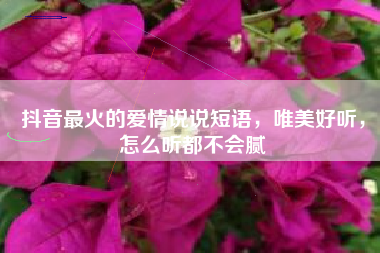 抖音最火的爱情说说短语，唯美好听，怎么听都不会腻